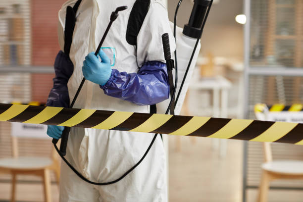 Professional Hoarding Cleanup technician working in Williston Park, NY